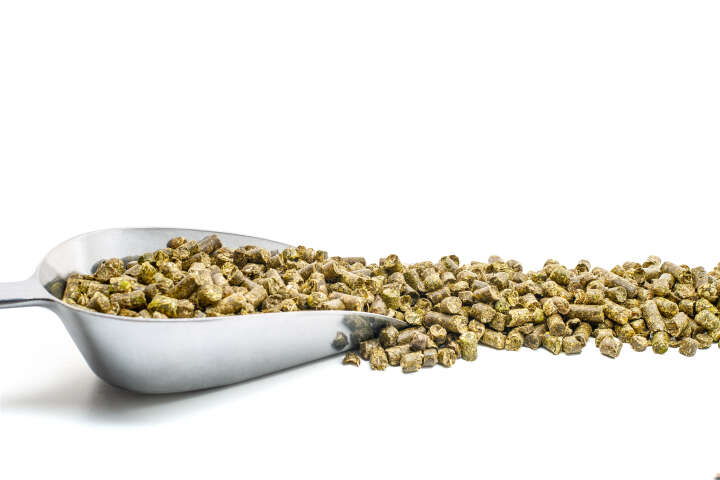 Höveler Pur.Luzerne Cob